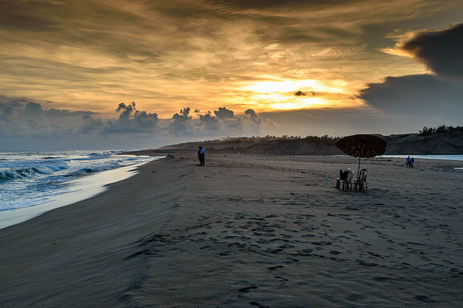 Evergreen Olive Ridley Tour of Odisha