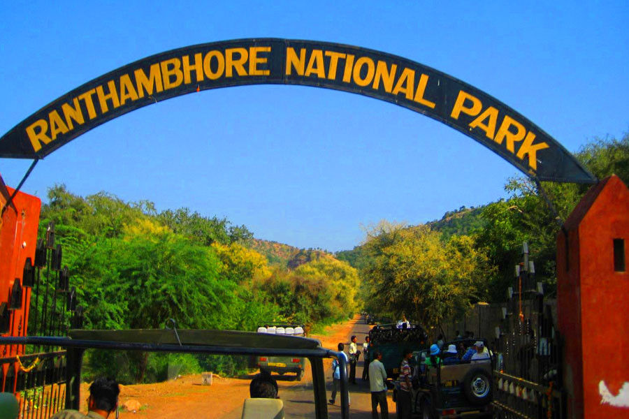 Ranthambore Weekend Tour