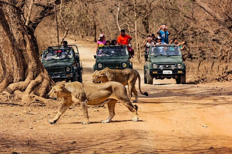 Short Gir National Park Weekend Tour