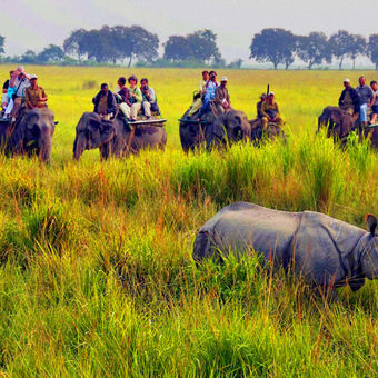 Arunachal Pradesh to Kaziranga