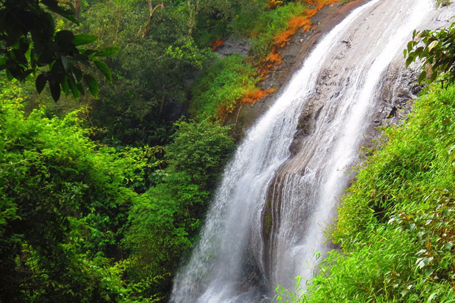Backpacking Trip to Majestic Coorg