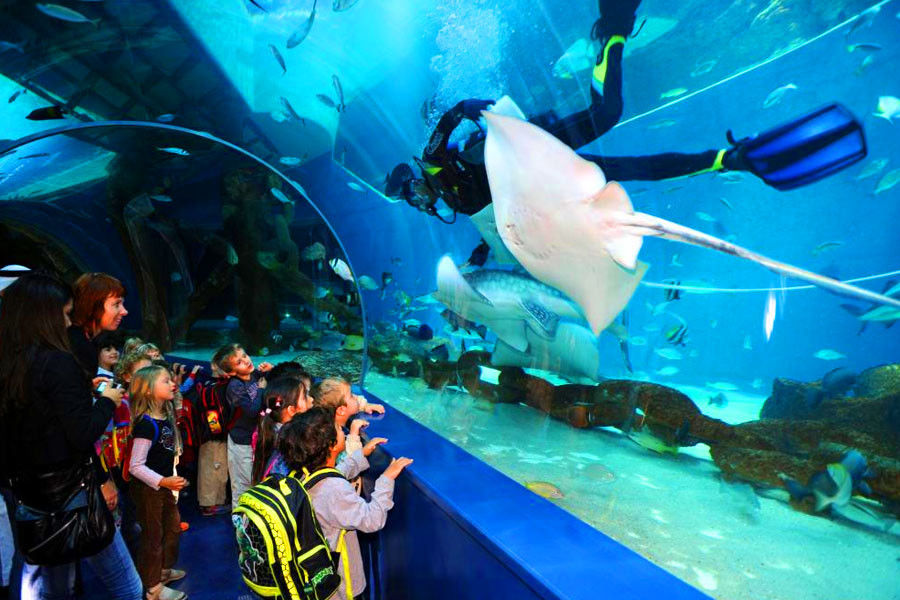 Amazing Dubai Package with Delightful Sharjah