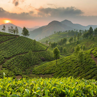 Kerala Corporate Tour Package