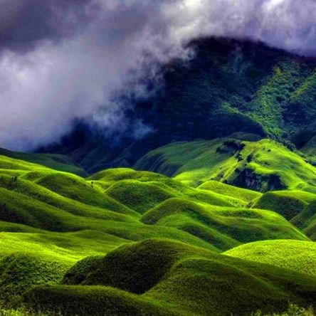 Nagaland