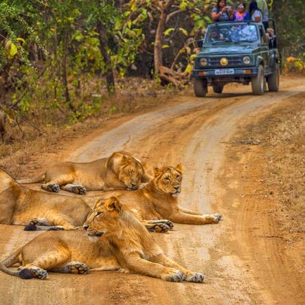 Gir National Park