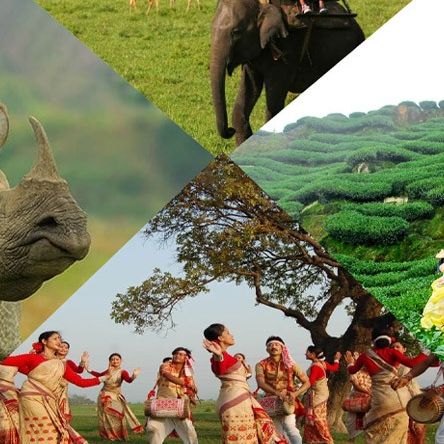 Assam Tour