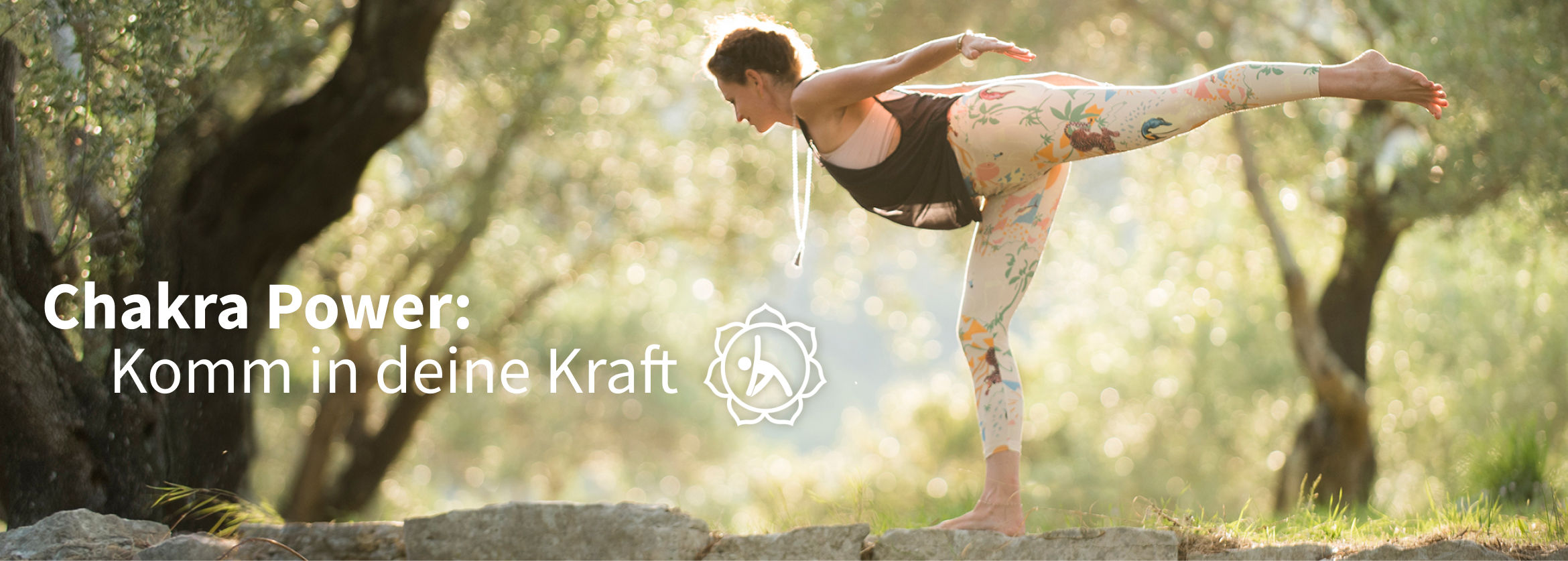 Chakra Power