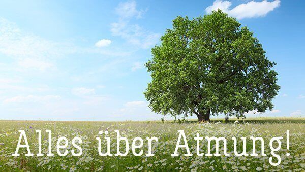 Alles über Atmung