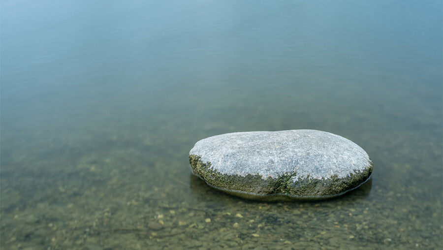 Süße Schwerkraft: Wo wären wir ohne sie?