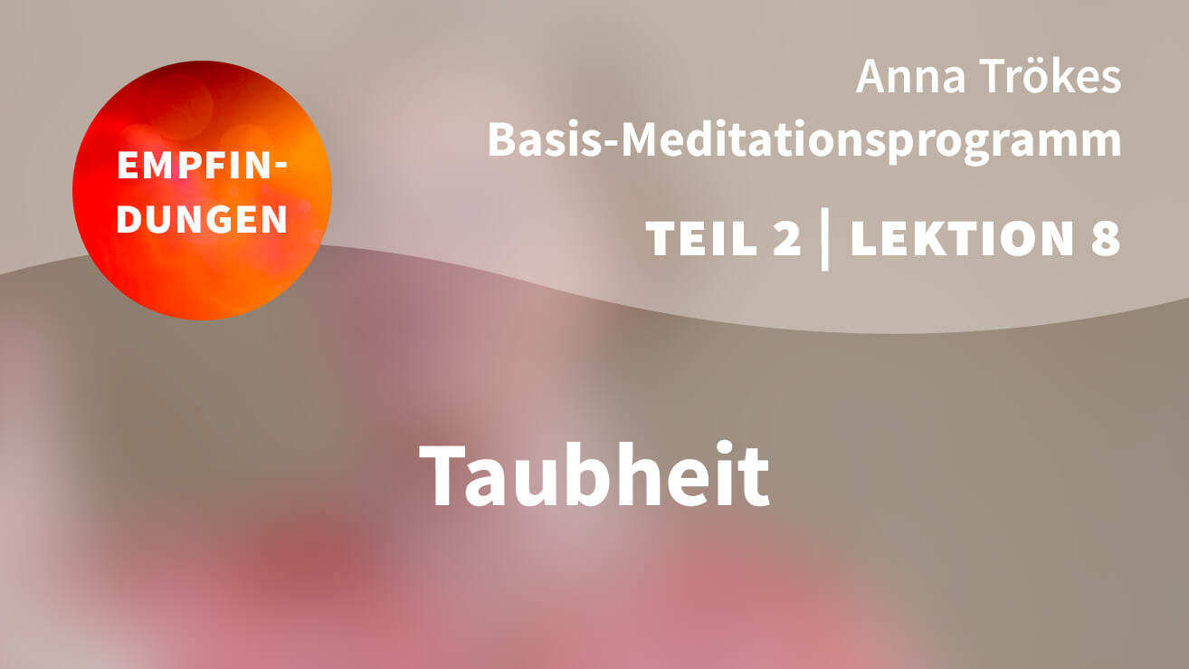 Basis Meditationsprogramm Anna Trökes Teil 2 Lektion 8