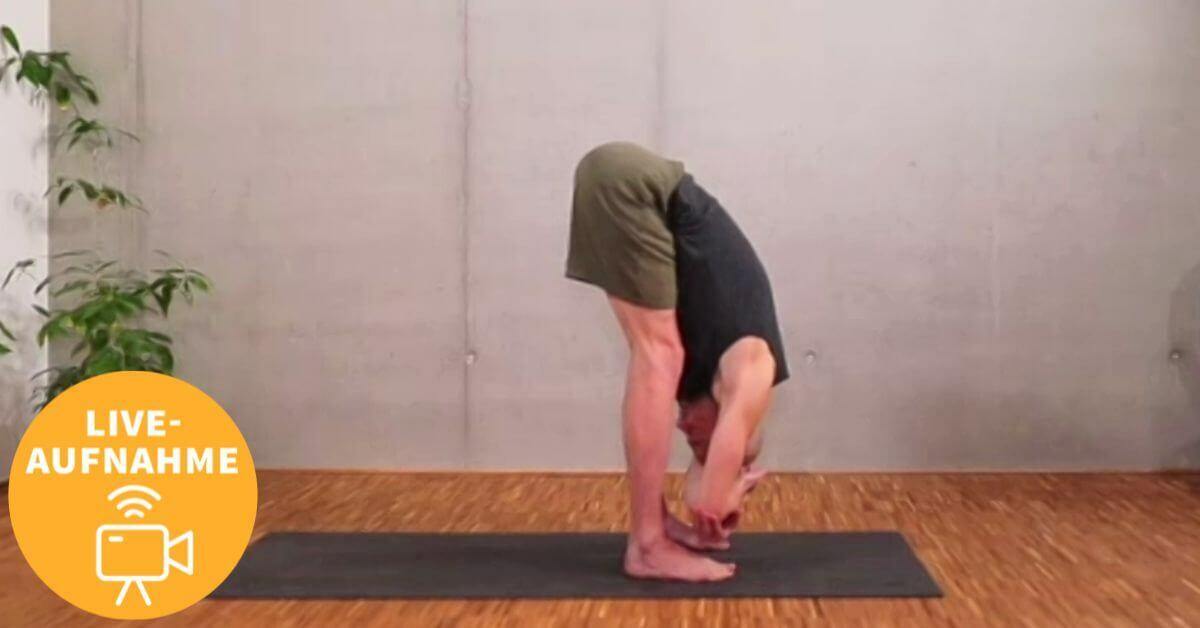 ronald_steiner_ashtanga_yoga