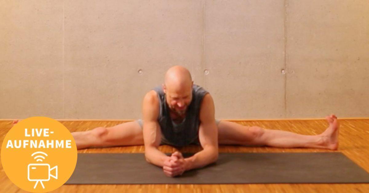 Dr. Ronald Steiner Yogatherapie