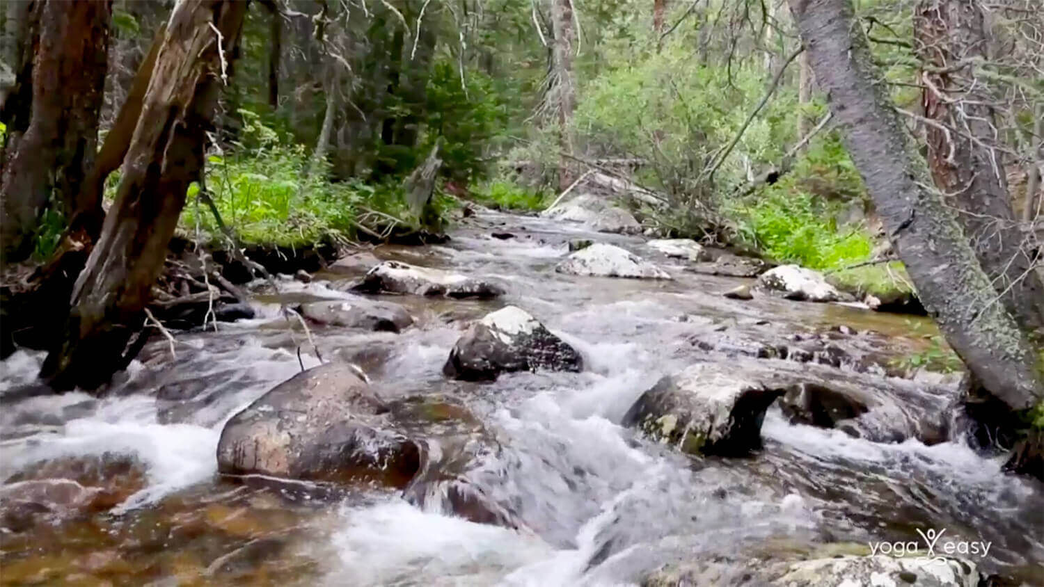 meditation innere würde anna trökes