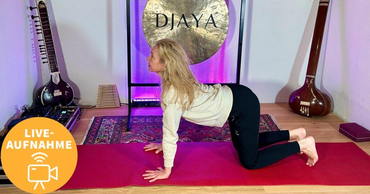 Tanja Seehofer Yin-Yang-Flow