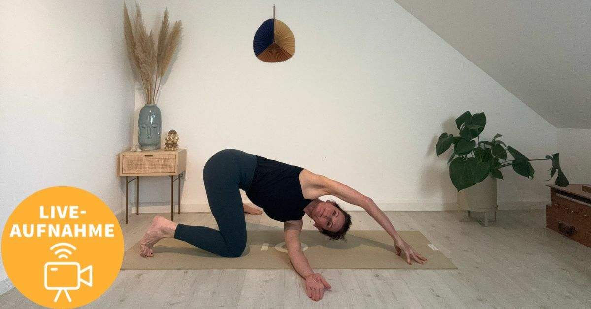 Yoga Video 13.02.25: Vinyasa Yoga – Hips and Twists (live)