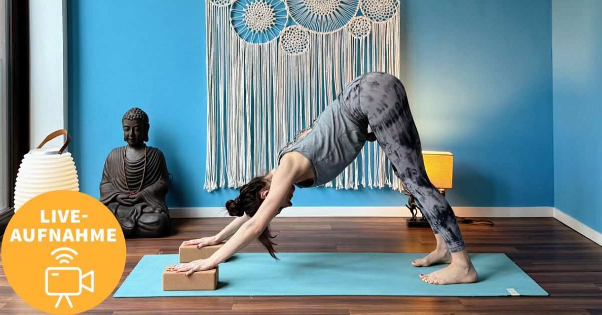 Isabel Djukanovic Morgenallrounder