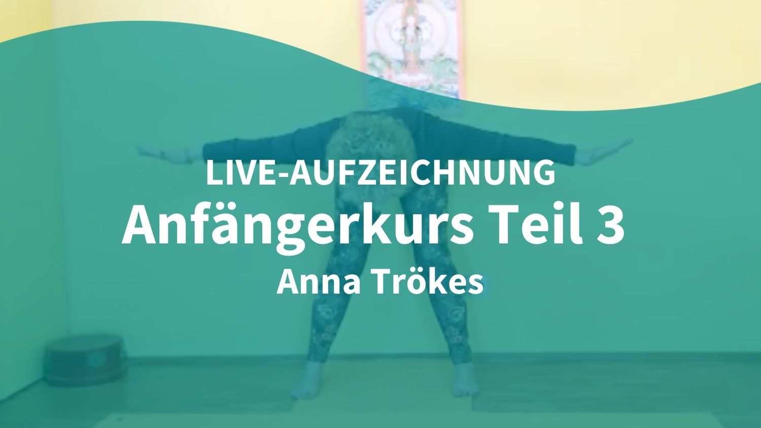 Yoga Video 28.01.21: Anfängerkurs – Vinyasa (live)