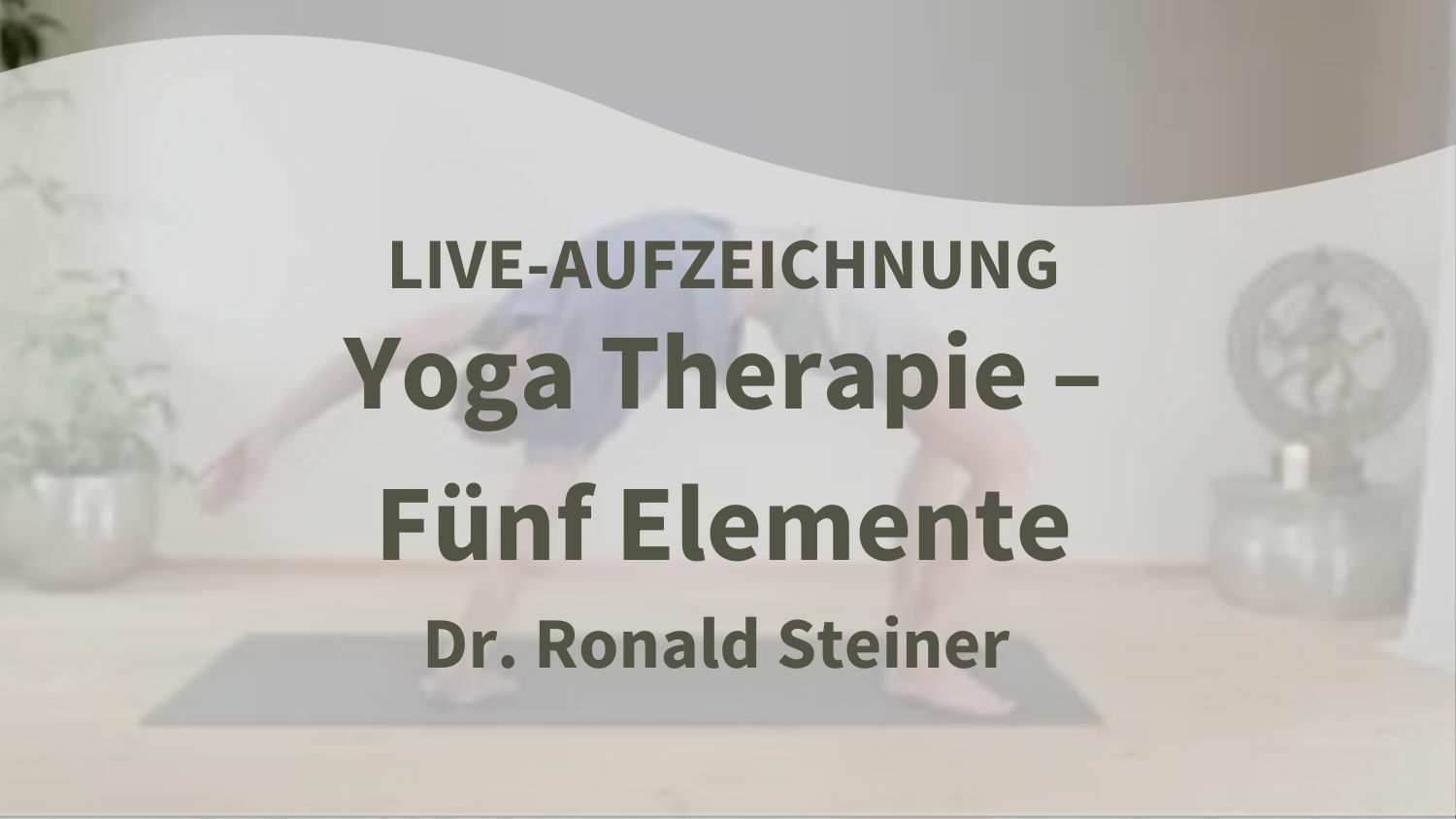 Yoga Therapie Elemente Ronald Steiner