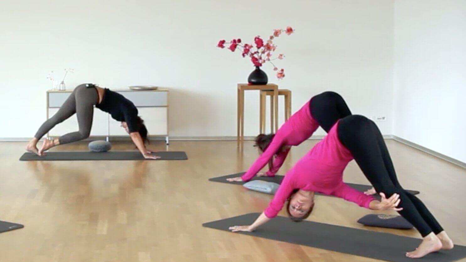 Yoga Video Faszien Yoga: Fluid Refinement – Verbundenheit & Einheit erfahren