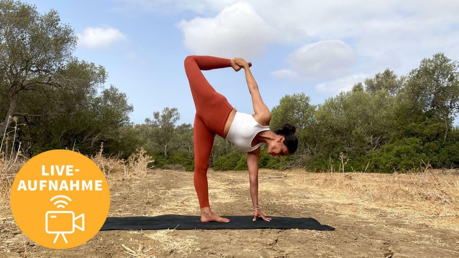 Yoga Video 08.08.22: Harmonie der Elemente (live)