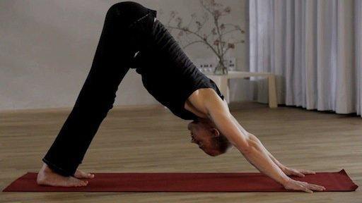 Yoga Video Ashtanga-Yoga für Anfänger:innen