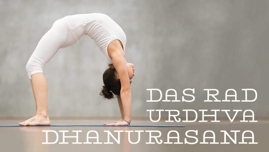 Asana des Monats: Das Rad – Urdhva Dhanurasana