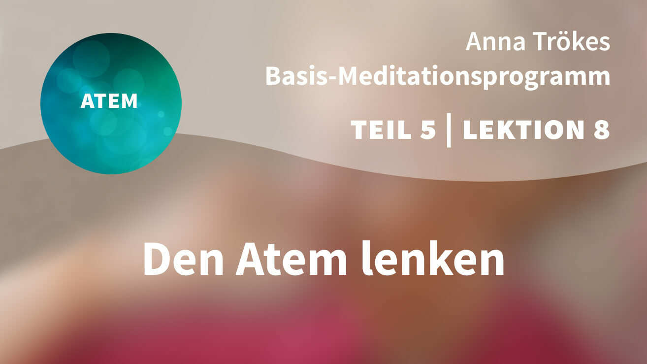Basis Meditationsprogramm Anna Trökes Teil 5 Lektion 8