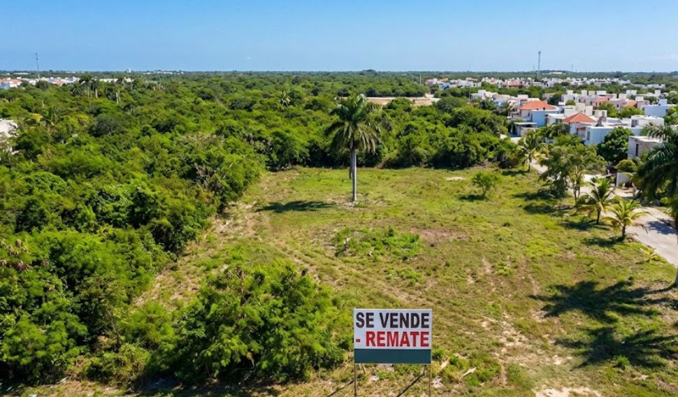 Título de la imagen 93 Descripción de la imagen 93