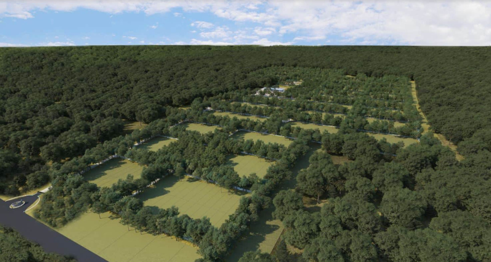 Primer plano de Piñuela Piñuela madura