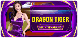 dragon tiger idn live