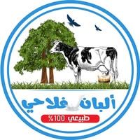 ألبان فلاحي