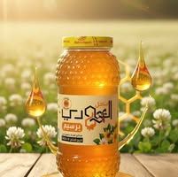 مناحل المهدي