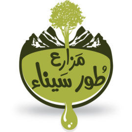 طور سيناء