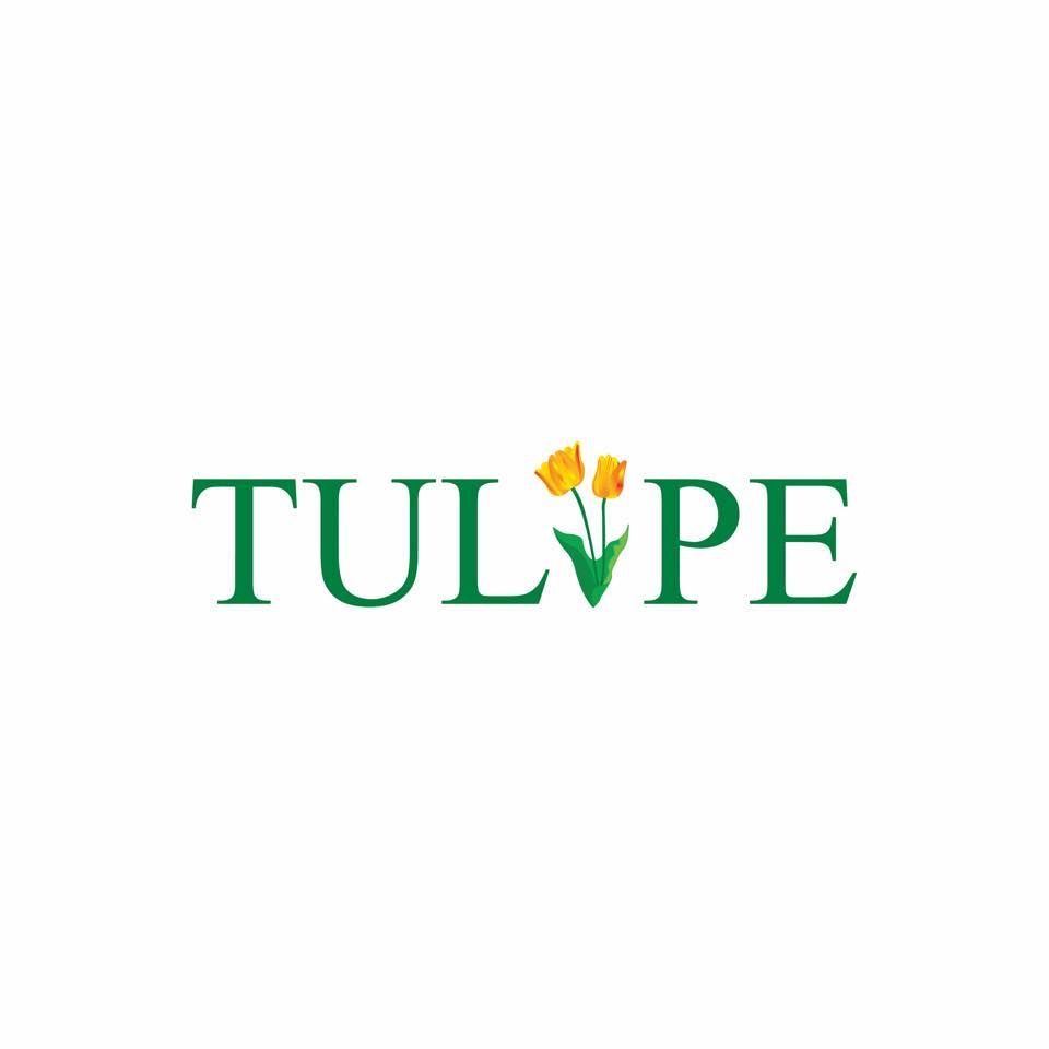 Tulipe