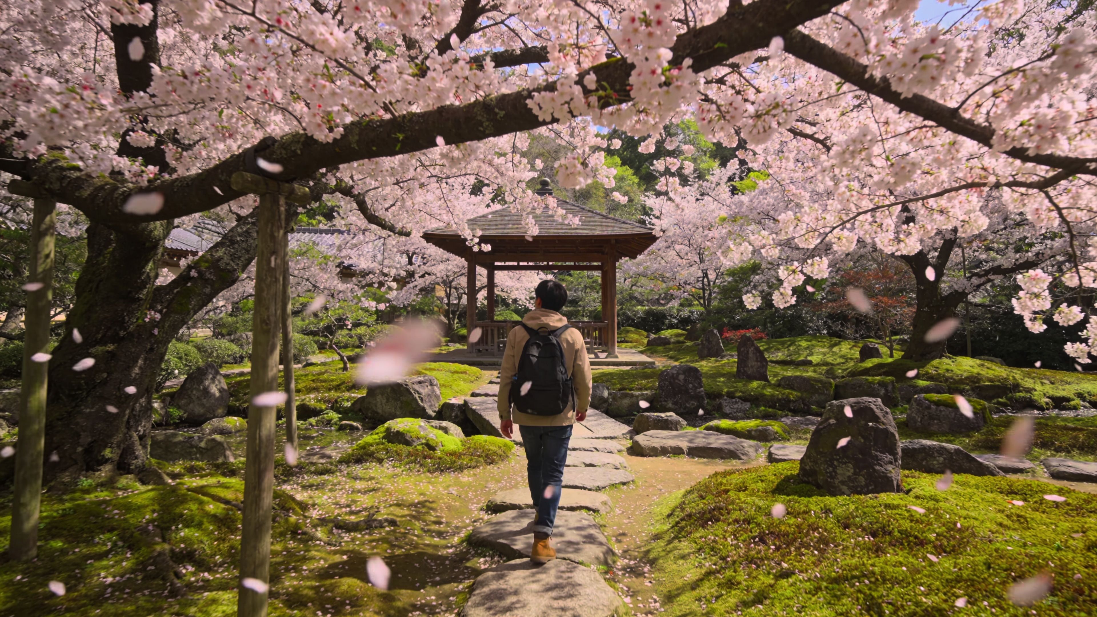 日本旅遊2026必看攻略｜全新主題樂園開幕＋景點翻新停業清單