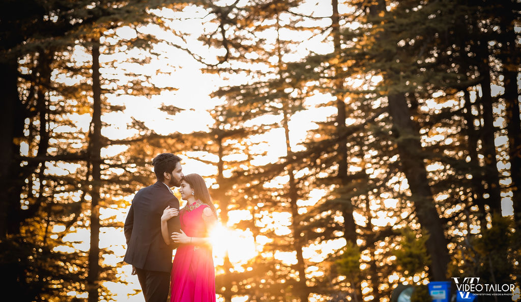 shimla pre wedding