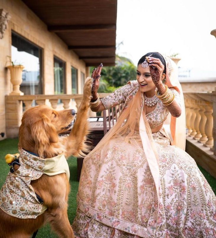 Cool Bridal Wedding Shoot poses fur baby