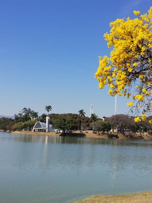 Photographer's profile picture