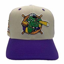 Norwich Navigators Gray Purple CT Pack Hometown Collection Patch Green UV New Era 59Fifty Fitted Hat