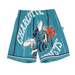 Charlotte Hornets Big Face 2.0 Mitchell & Ness Shorts