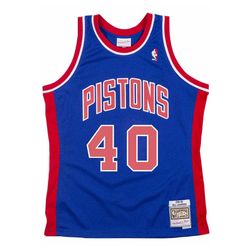 Detroit Pistons Bill Laimbeer Mitchell & Ness 1988-89 Hardwood Classics Blue Swingman Jersey