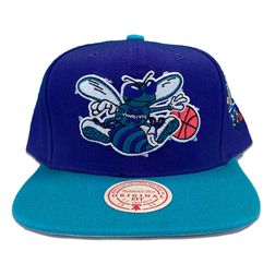 Charlotte Hornets Two Tone 10 At Ten Side Patch Gray UV Mitchell & Ness Snapback Hat