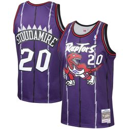 Toronto Raptors Damon Stoudamire Mitchell & Ness 1995-96 Hardwood Classics Swingman Purple Jersey