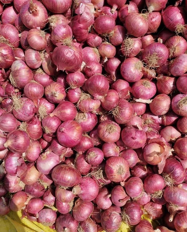 Red Onions