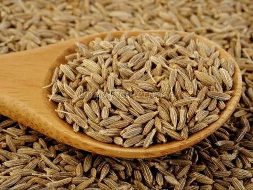 Cumin Seeds 2