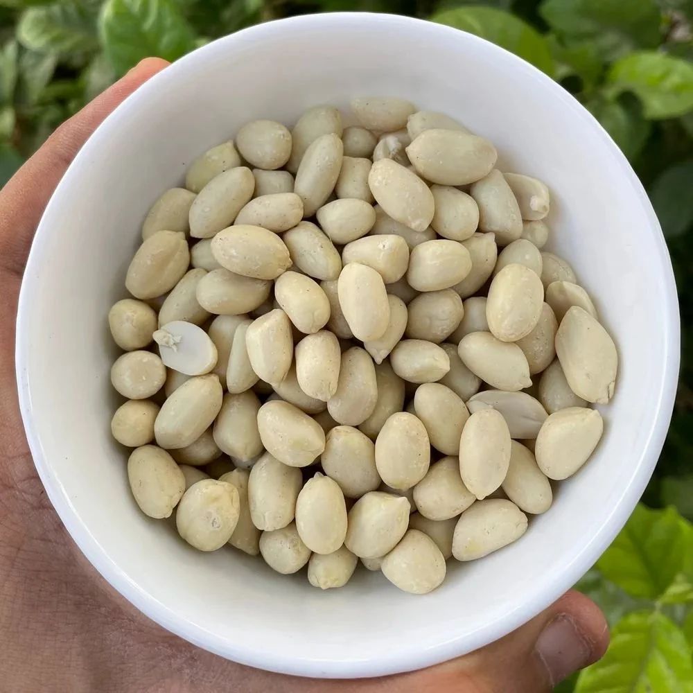 Blanched Peanuts 4
