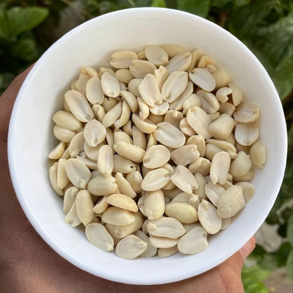 Blanched Peanuts 2