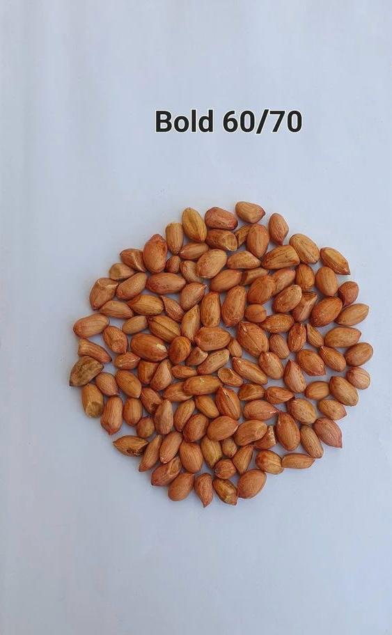 Bold Peanuts 2