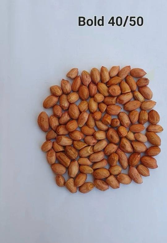 Bold Peanuts 4