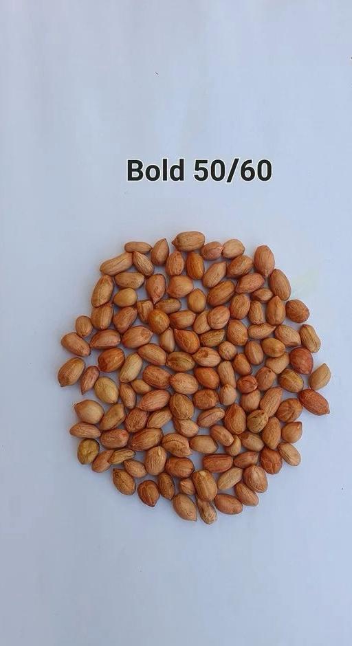 Bold Peanuts 3